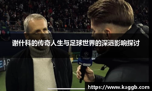三亿体育有限公司